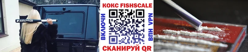 mega маркетплейс Кировск Кокаин FishScale наркотики