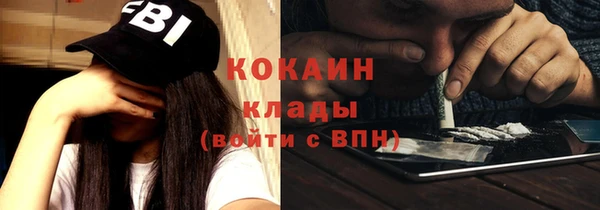 сатива Дмитриев