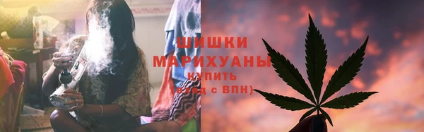 сатива Арсеньев