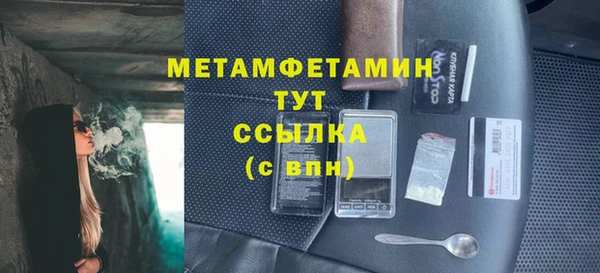 сатива Арсеньев